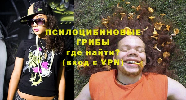 экстази Ельня